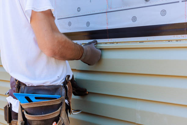 Best Vinyl Siding Installation  in Hamlet, IN